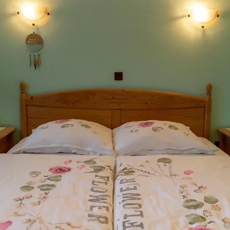 Lejlighed Apartma Gaby *